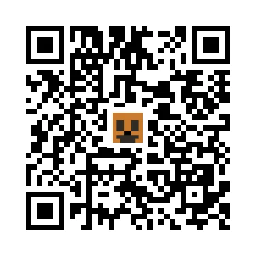 skins.qr_code_alt