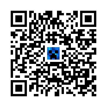 skins.qr_code_alt