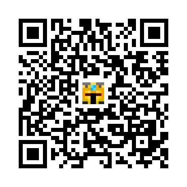 skins.qr_code_alt