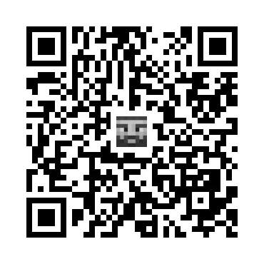 skins.qr_code_alt