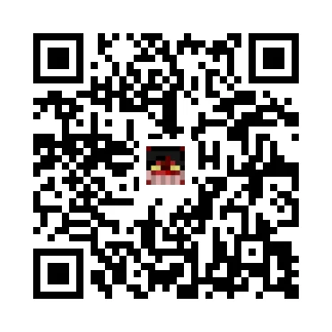 skins.qr_code_alt