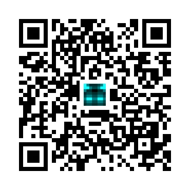 skins.qr_code_alt