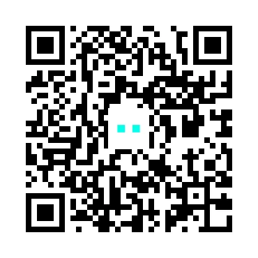 skins.qr_code_alt