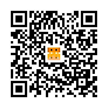 skins.qr_code_alt