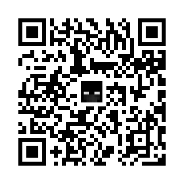 skins.qr_code_alt