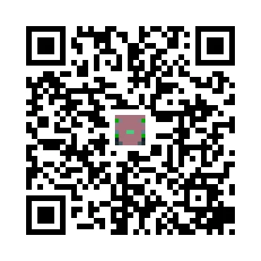 skins.qr_code_alt