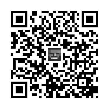 skins.qr_code_alt