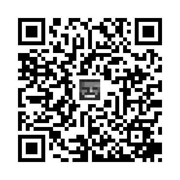 skins.qr_code_alt