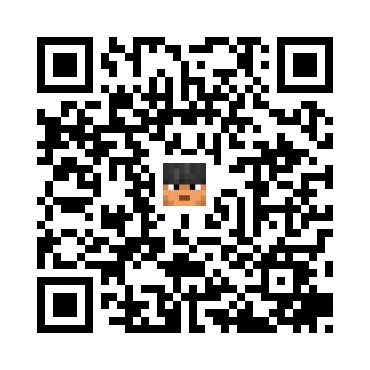skins.qr_code_alt