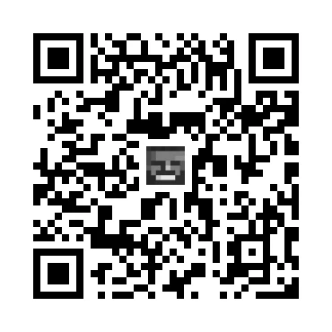 skins.qr_code_alt
