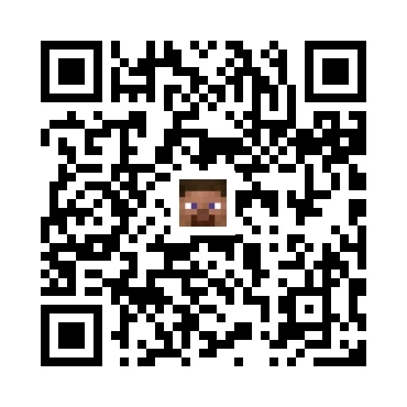 skins.qr_code_alt