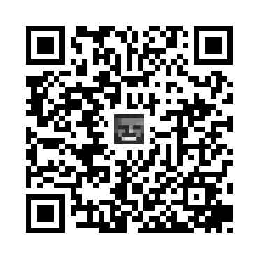 skins.qr_code_alt