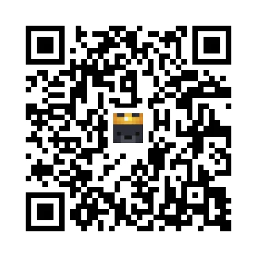 skins.qr_code_alt