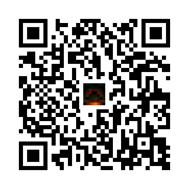 skins.qr_code_alt