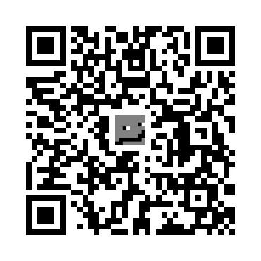 skins.qr_code_alt