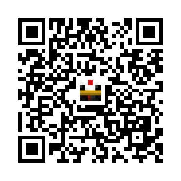 skins.qr_code_alt