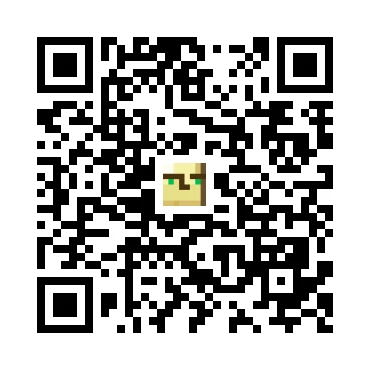 skins.qr_code_alt