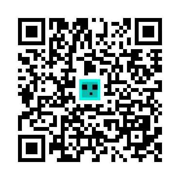 skins.qr_code_alt