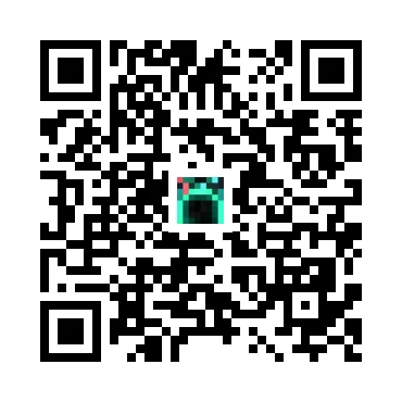 skins.qr_code_alt