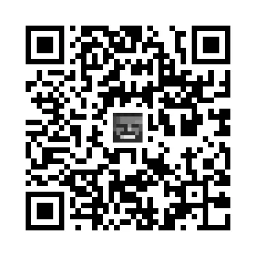 skins.qr_code_alt