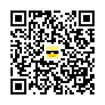 skins.qr_code_alt