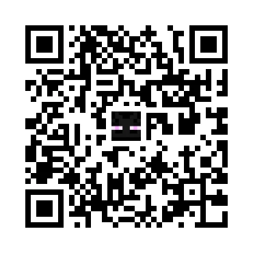 skins.qr_code_alt