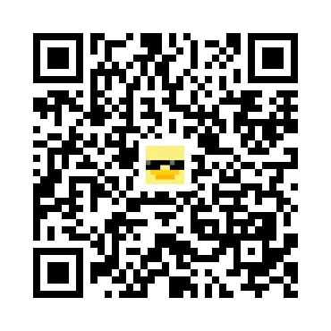 skins.qr_code_alt