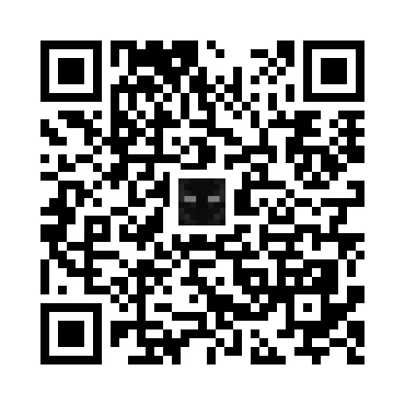 skins.qr_code_alt