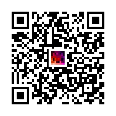 skins.qr_code_alt