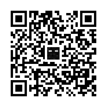 skins.qr_code_alt