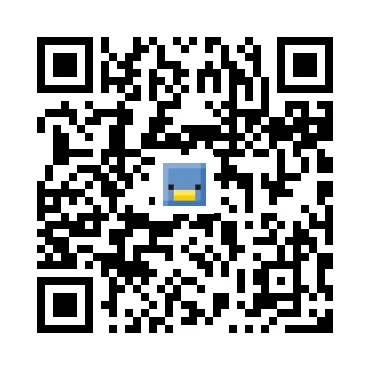 skins.qr_code_alt