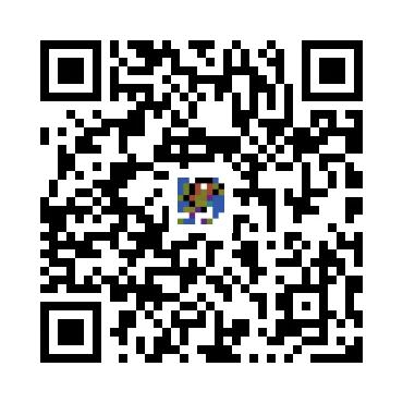 skins.qr_code_alt
