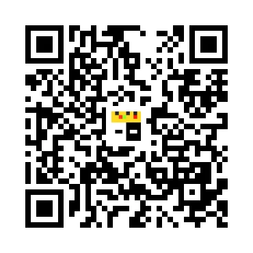 skins.qr_code_alt