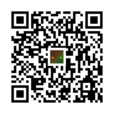 skins.qr_code_alt