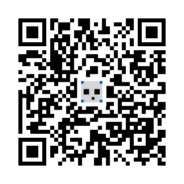 skins.qr_code_alt