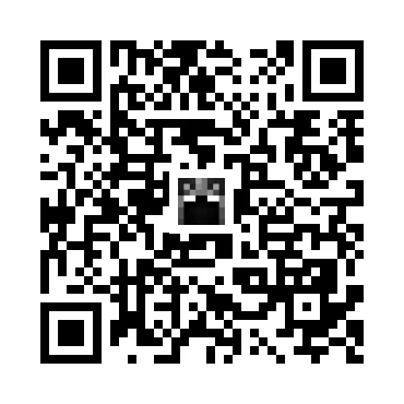 skins.qr_code_alt