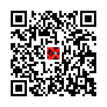 skins.qr_code_alt