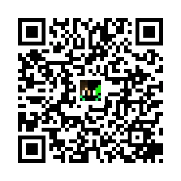 skins.qr_code_alt