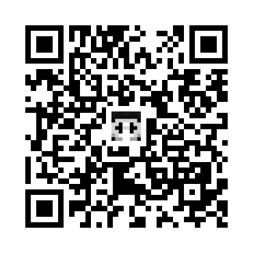 skins.qr_code_alt