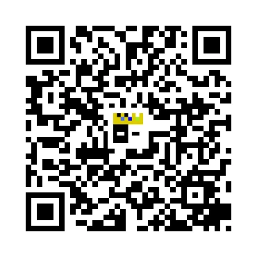 skins.qr_code_alt