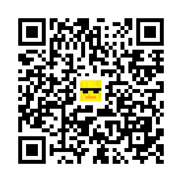 skins.qr_code_alt