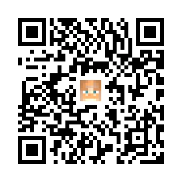 skins.qr_code_alt