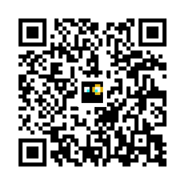 skins.qr_code_alt