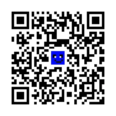 skins.qr_code_alt
