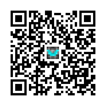 skins.qr_code_alt
