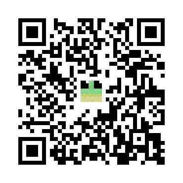 skins.qr_code_alt