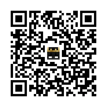 skins.qr_code_alt