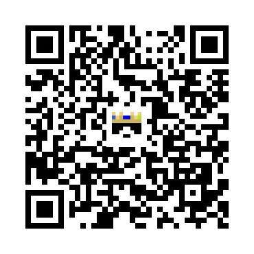 skins.qr_code_alt