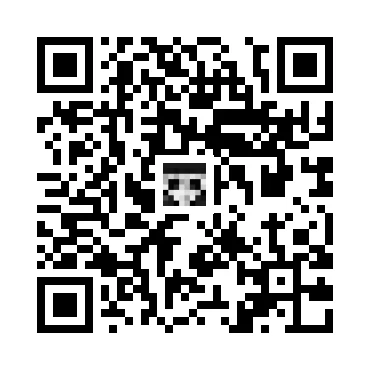 skins.qr_code_alt