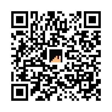 skins.qr_code_alt
